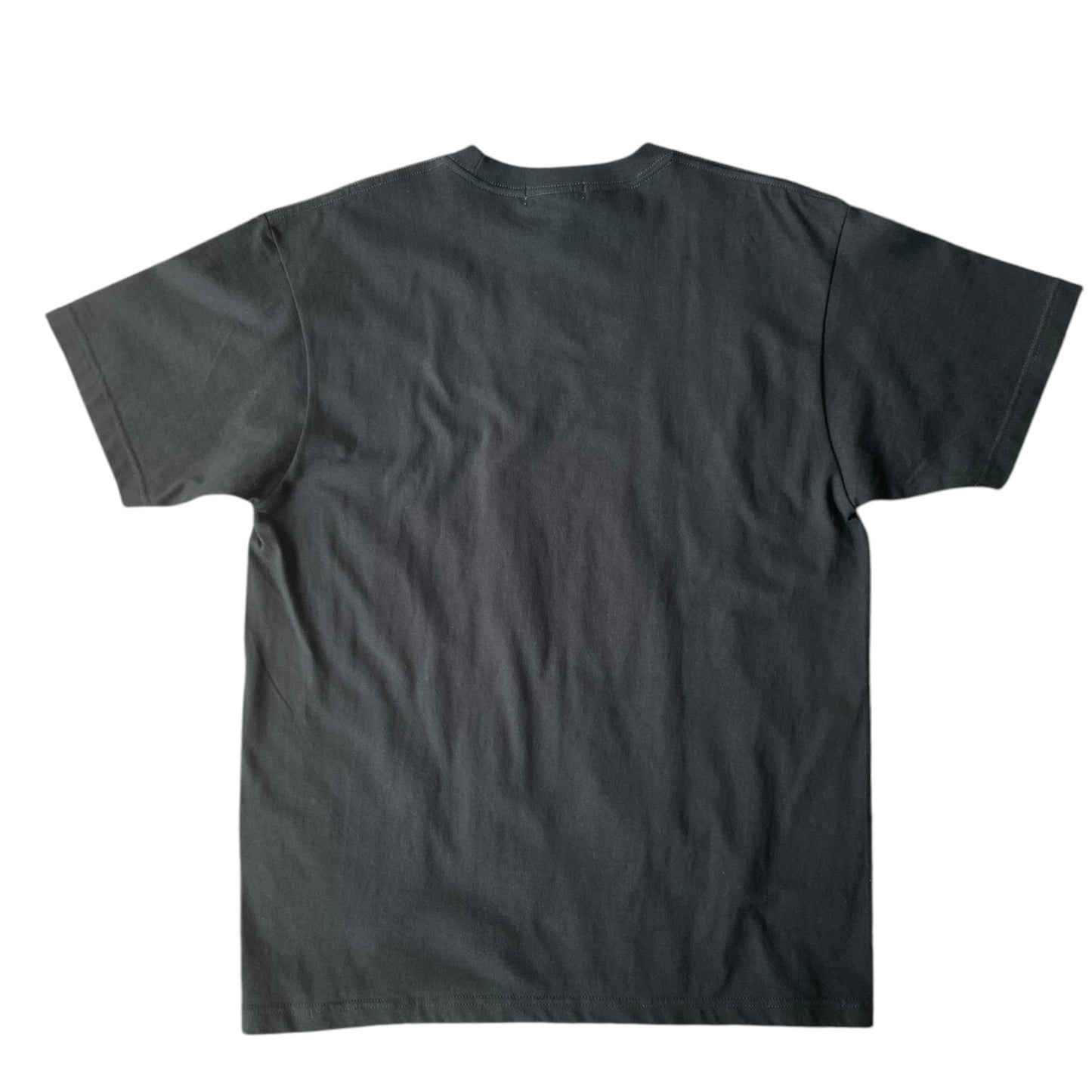 Short Sleeve Tee(A.Parrot & Dissolved Fruits)