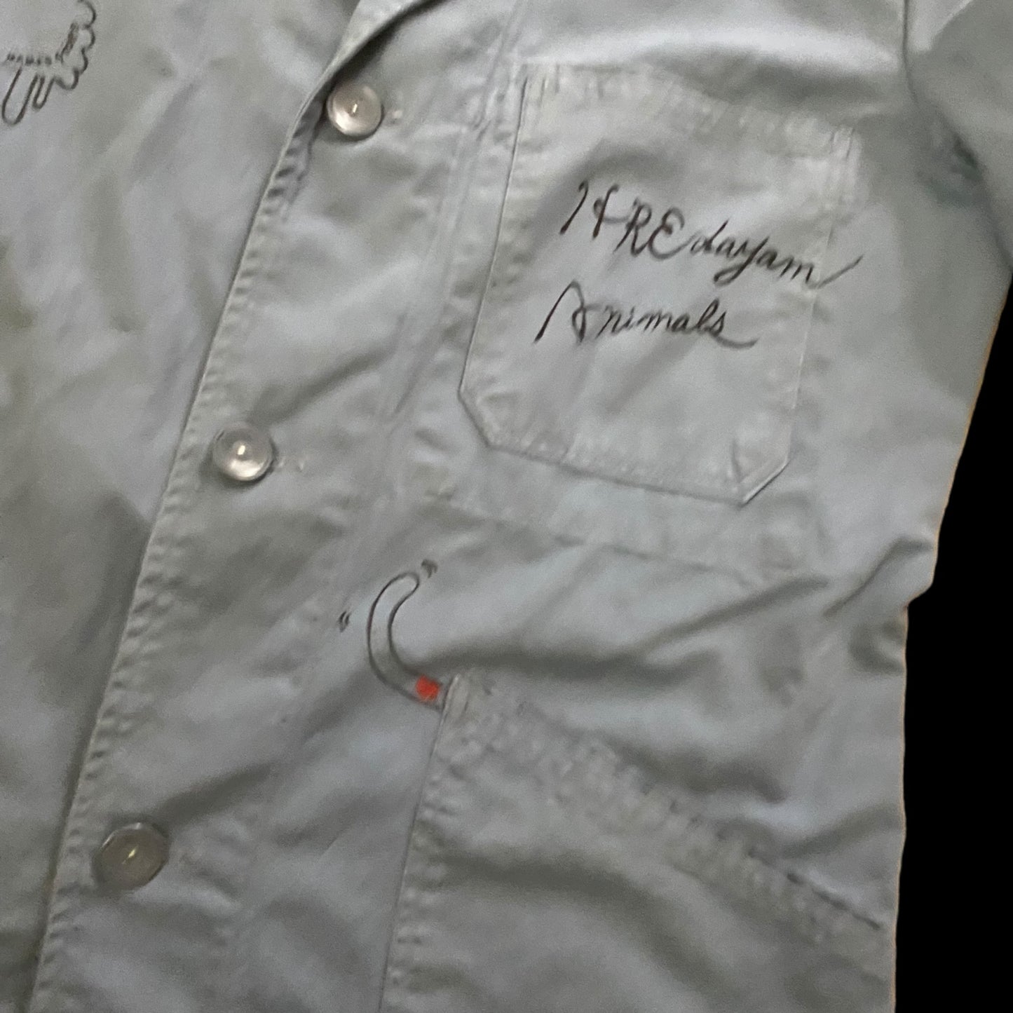 Atelier Coat-HREdayam Animals Painted-