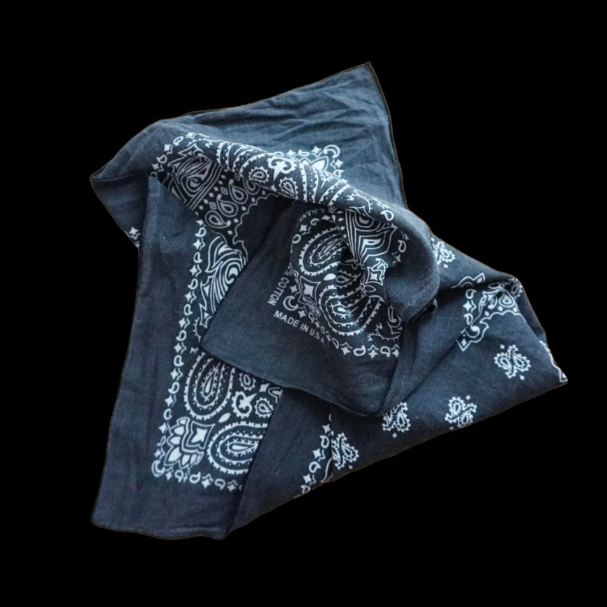 OLD"HAV-A-HANK" 「Ruler of Paisley」BLACK Bandannda